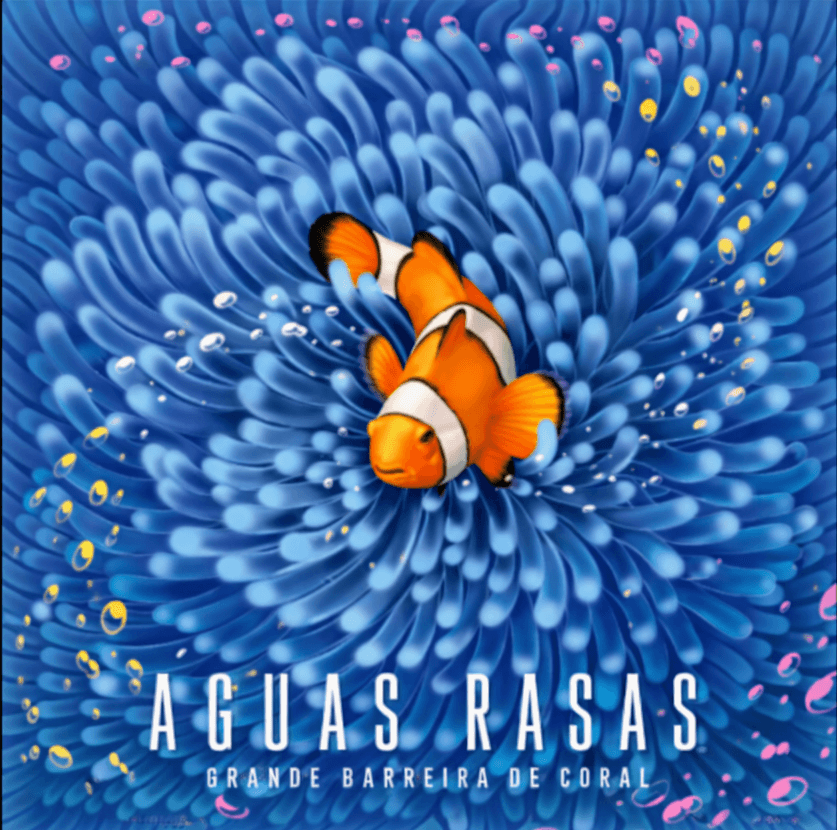Capa de Águas Rasas