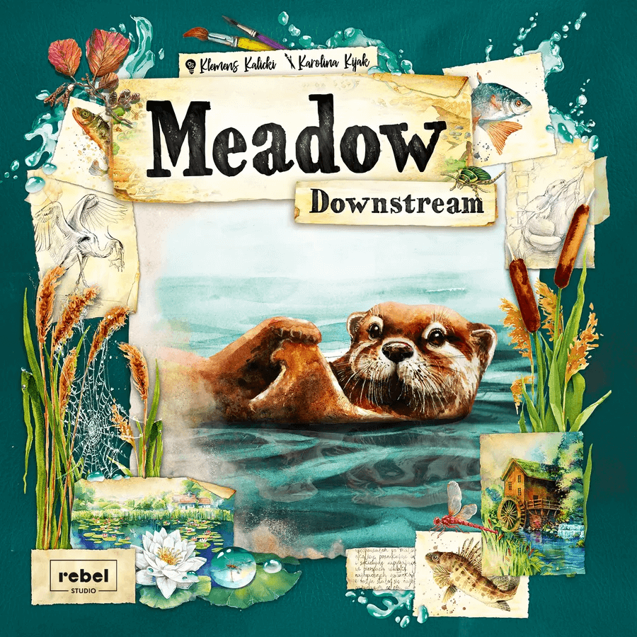 Capa de Meadow: Downstream